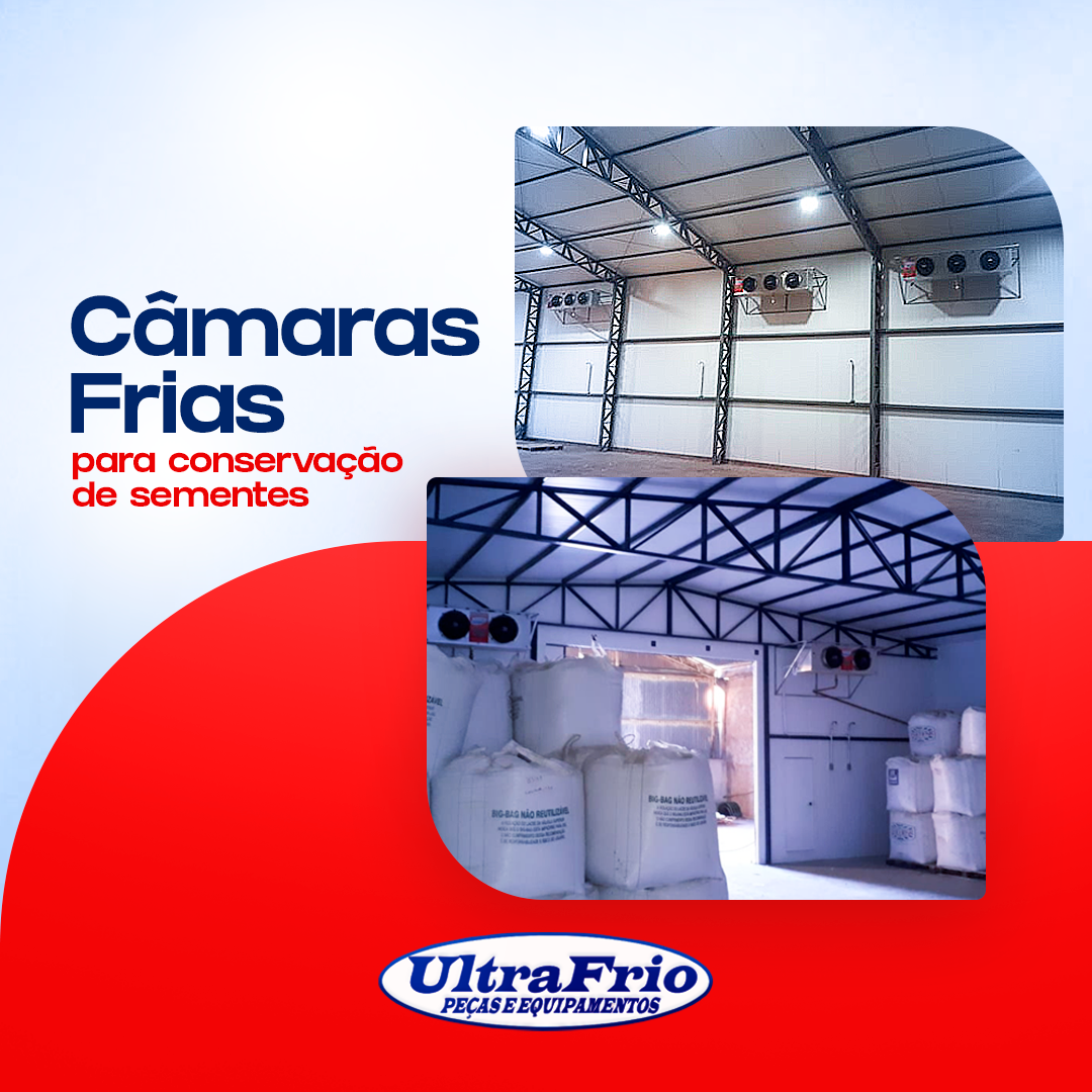 camara conservação de semente